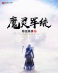 魔灵军统封面