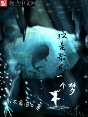 这是最后一个梦封面
