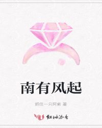 南有风起封面