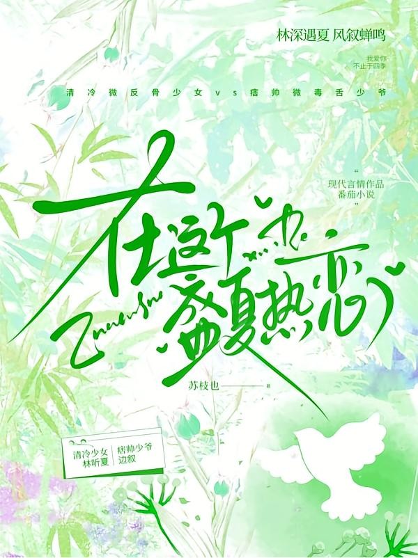 在这个盛夏热恋封面