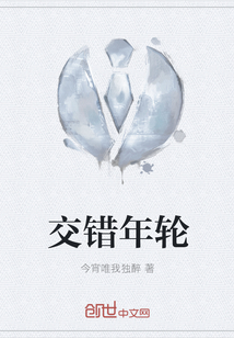 交错年轮封面