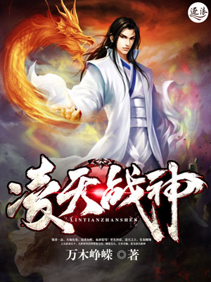 凌天战神封面