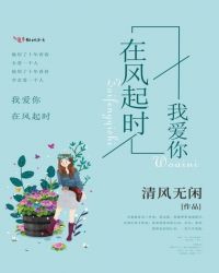 我爱你，在风起时封面