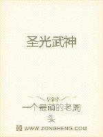 圣光武神封面