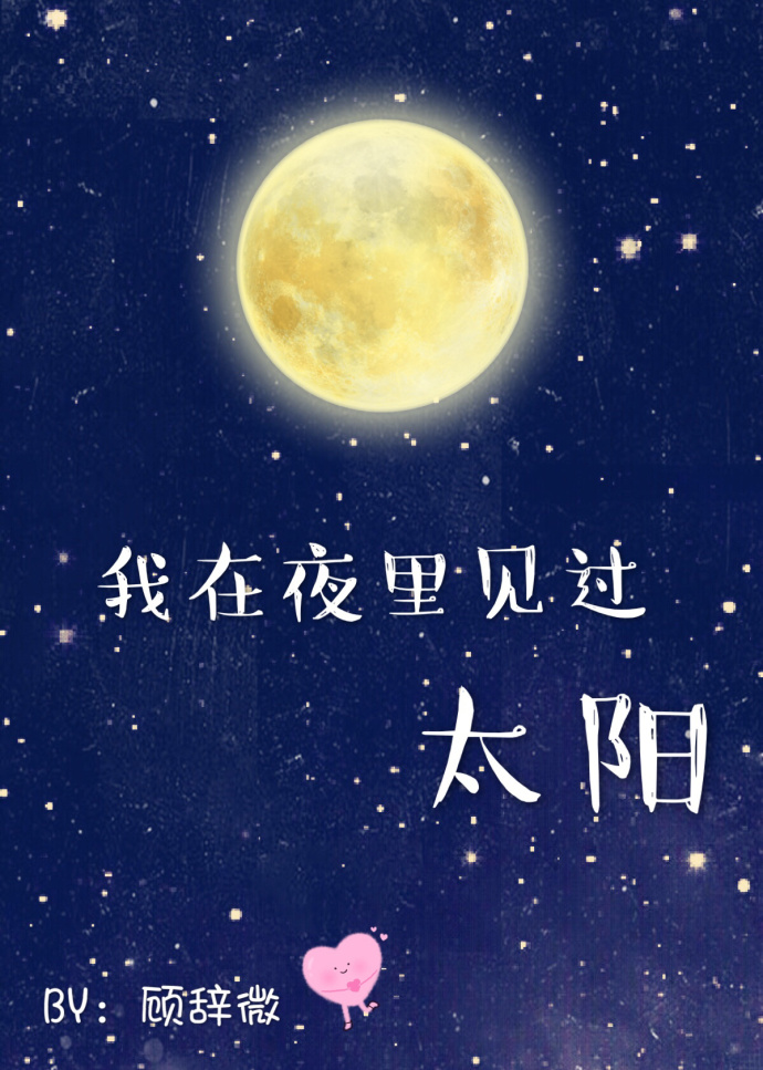 我在夜里见过太阳封面