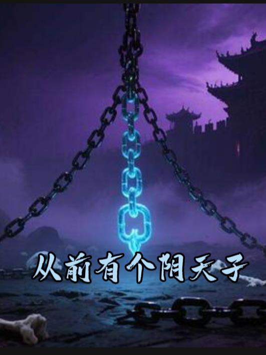 从前有个阴天子封面
