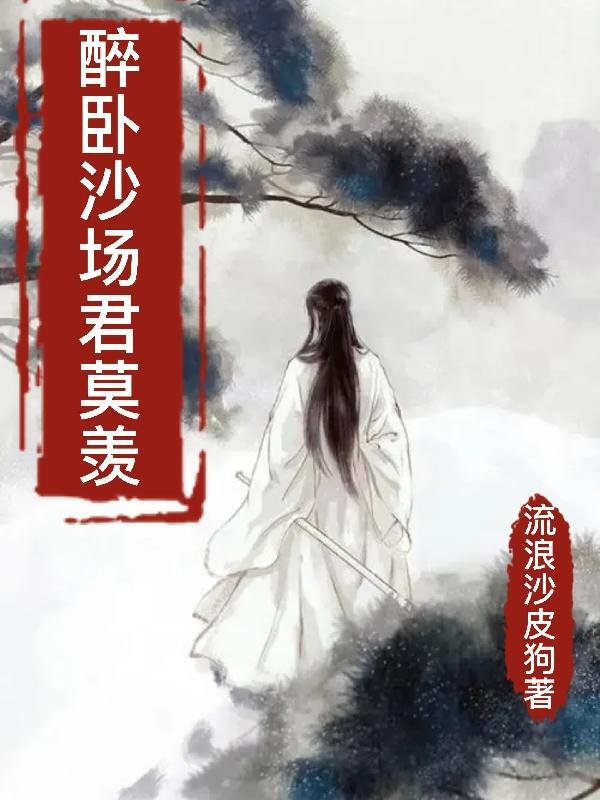 醉卧沙场君莫羡封面