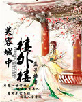 芙蓉城中楼外楼封面