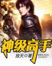 神级高手封面