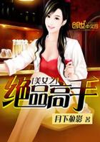 美女之绝品高手封面