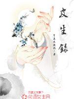 皮生录封面