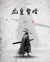 龙皇赘婿封面