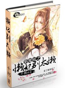 驱魔师之懒妃别太懒封面