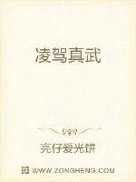凌驾真武封面