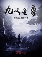 九域星尊封面