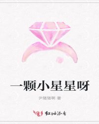 一颗小星星呀封面