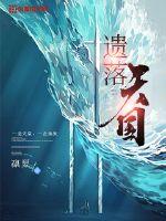 遗落天国封面