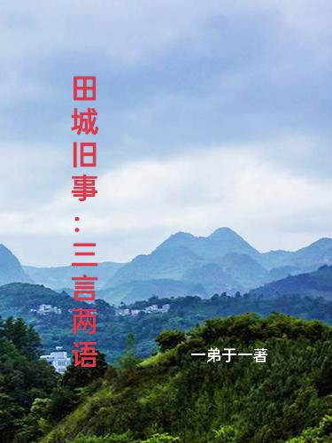 田城旧事：三言两语封面