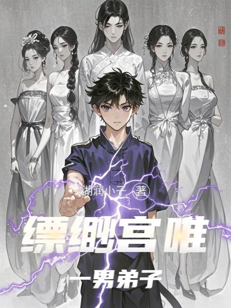缥缈宫唯一男弟子封面