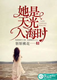 她是天光入海时封面