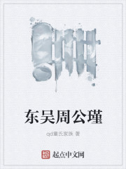 东吴周公瑾封面