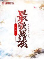 九州最强战法封面