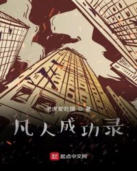 凡人成功录封面