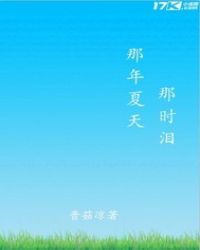 那年夏天那时泪封面