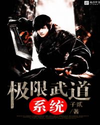 极限武道系统封面