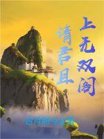 请君且上无双阁封面