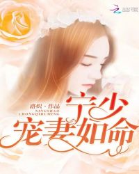 宁少,宠妻如命封面