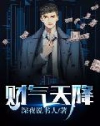 财气天降封面