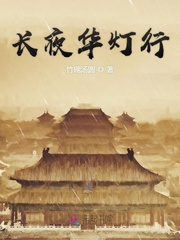 长夜华灯行封面