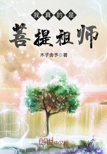 我真的是菩提祖师封面