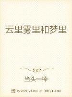 云里雾里和梦里封面