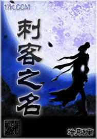 刺客——名字的传奇封面