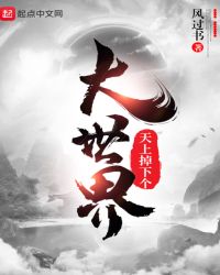 天上掉下个大世界封面