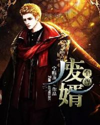 至尊废婿封面