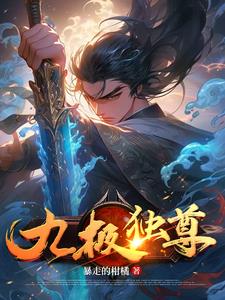 九极独尊封面