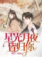 星光月夜皆归你封面