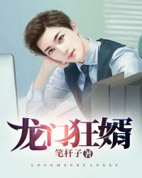 龙门狂婿封面