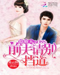 隐婚大BOOS：前夫请别挡道封面