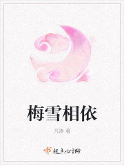 梅雪相依封面