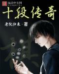 十段传奇封面