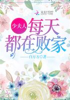 少夫人每天都在败家封面