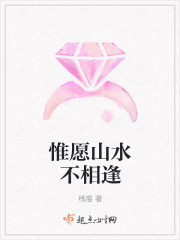 惟愿山水不相逢封面