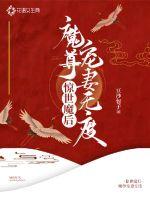 惊世魔后：魔尊宠妻无度封面