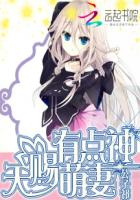 天赐萌妻有点神封面