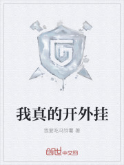 我真的开外挂封面