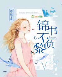 锦书不负黎封面